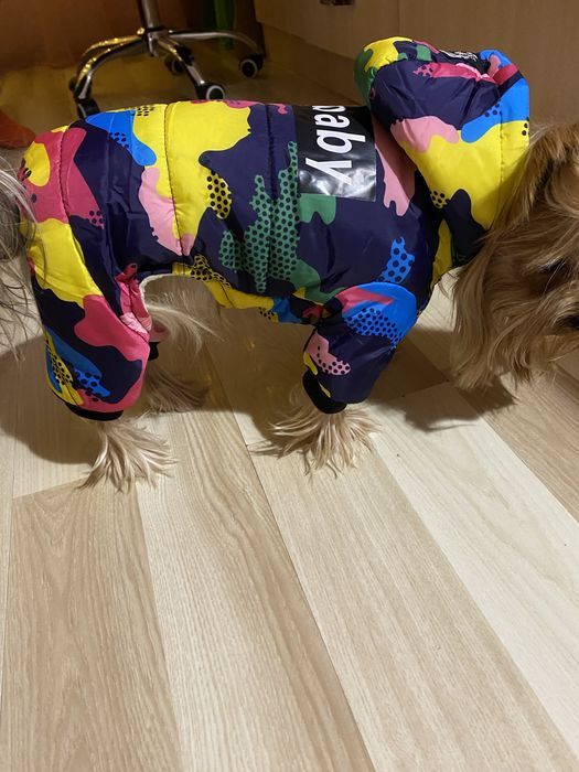 Комбінезон для собак