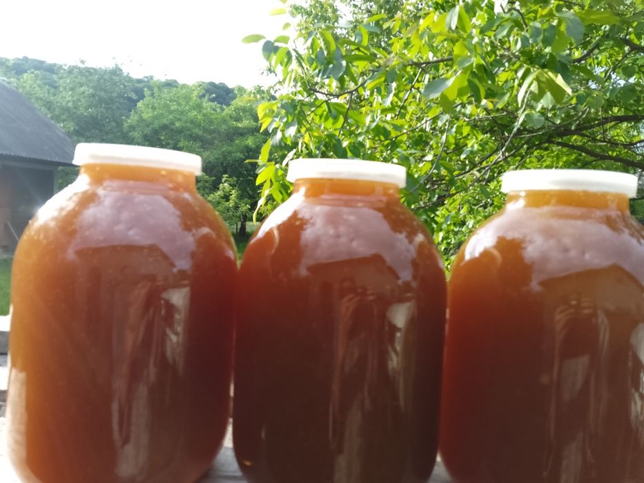 Мед зібраний в Карпатському регіоні 2025 року