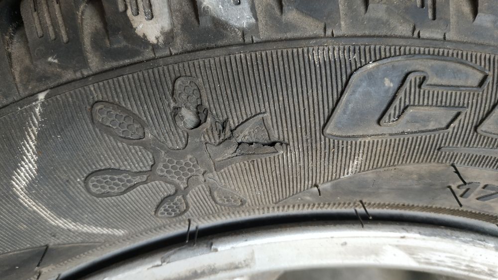 Cordiant polar sl 175/65 r14