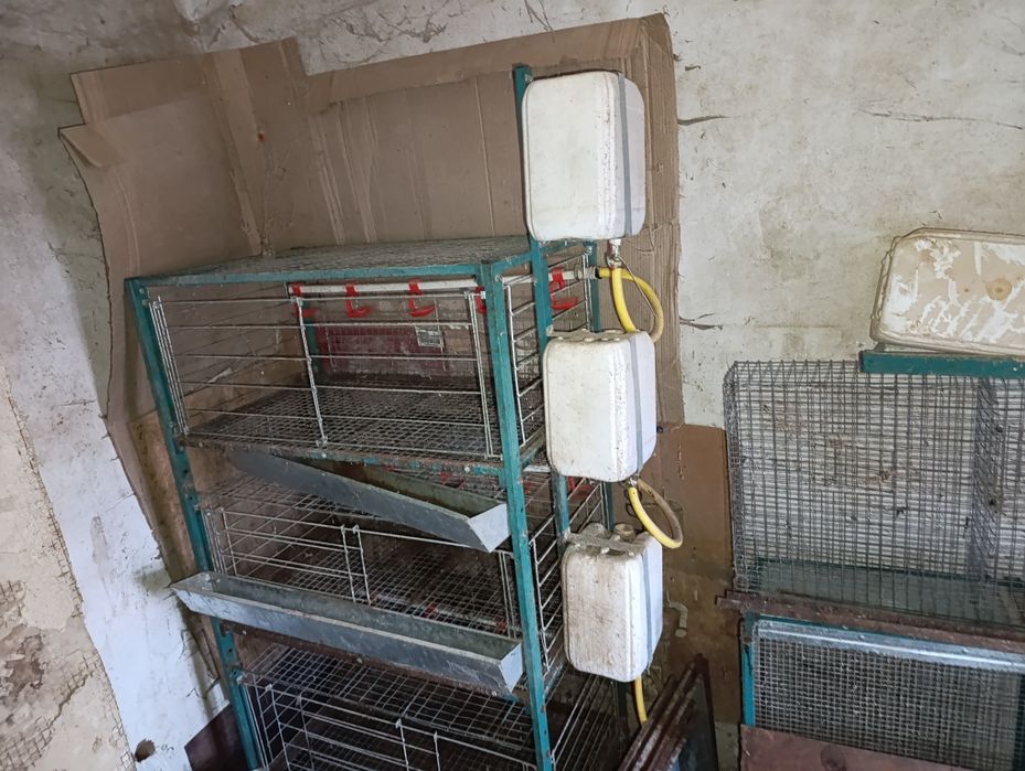 Клітка універсальна кури,бройлери