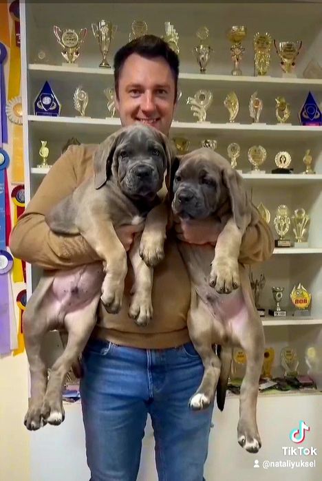 Чемпион Молдовы и Румынии