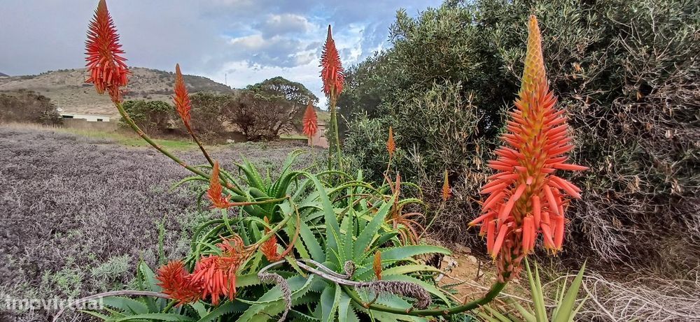 Moradia independente ( 802 m2 ) Er 233 Casinhas Porto Santo