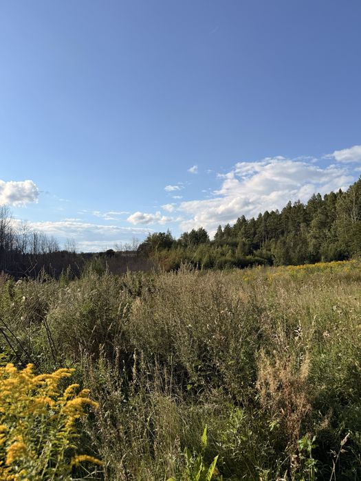 Działka budowlana 1 ha - Widok 4