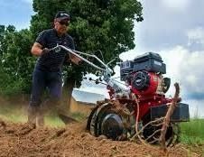 Культивация землі і обрізка дерев