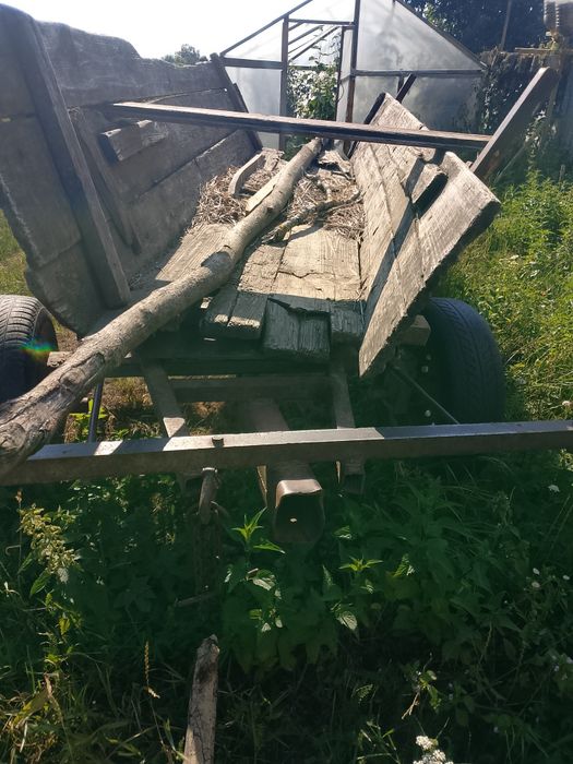 Фіра, віз для коня