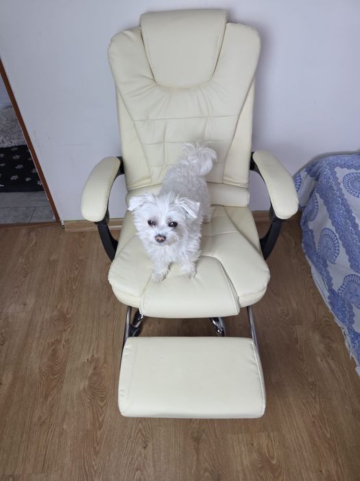 Fotel obrotowy biurowy z podnóżkiem kremowy regulowany