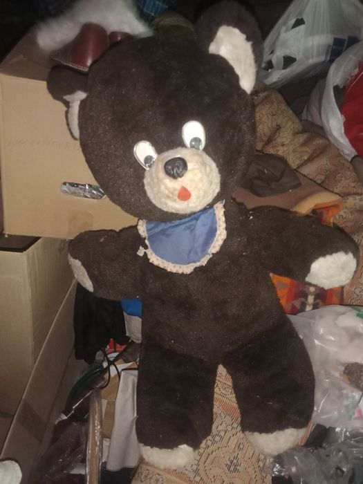 Мед сонячник из пасики