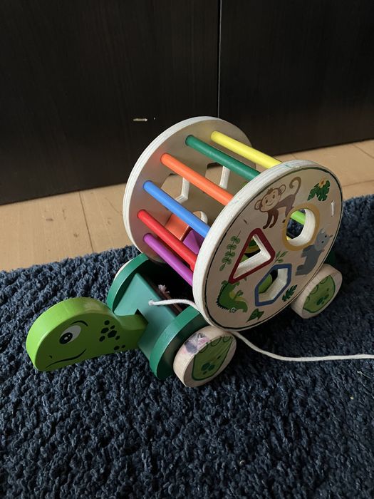 Tartaruga madeira com formas