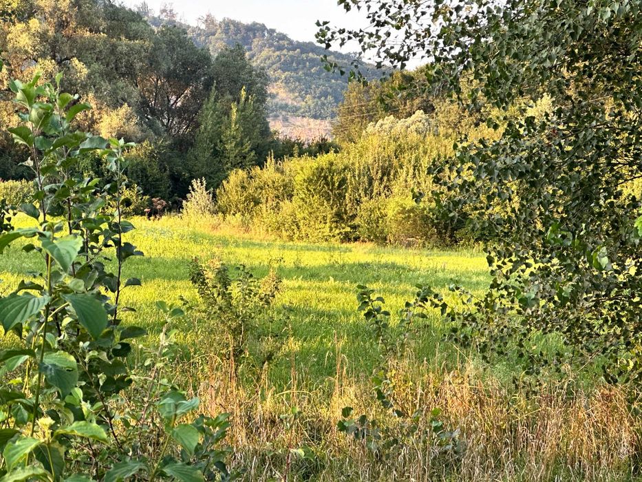 Продаж ділянки під лісом (район ресторану "Камелот")