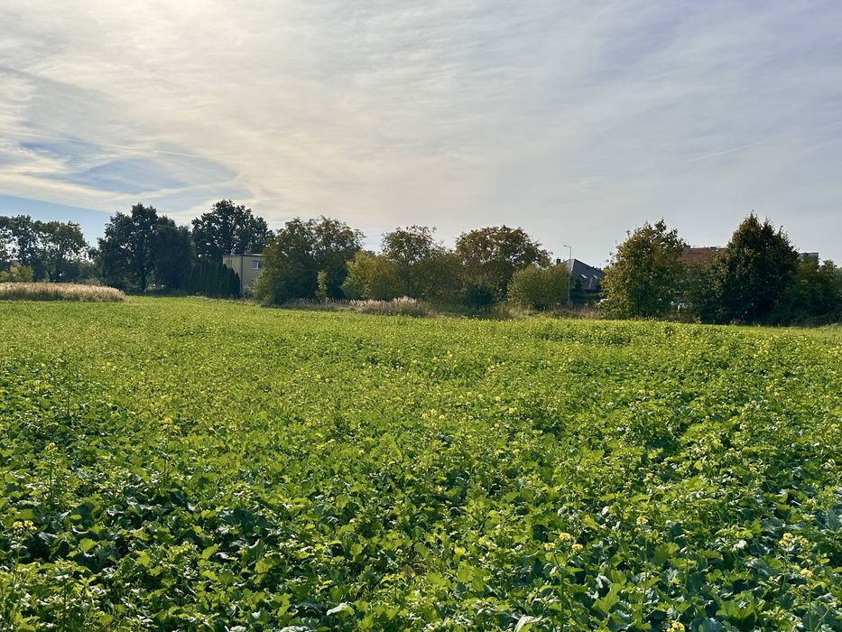 Działka inwestycyjna 2800 m² przy S8 – Oleśnica, ul. Dobroszycka | Dzierżawa