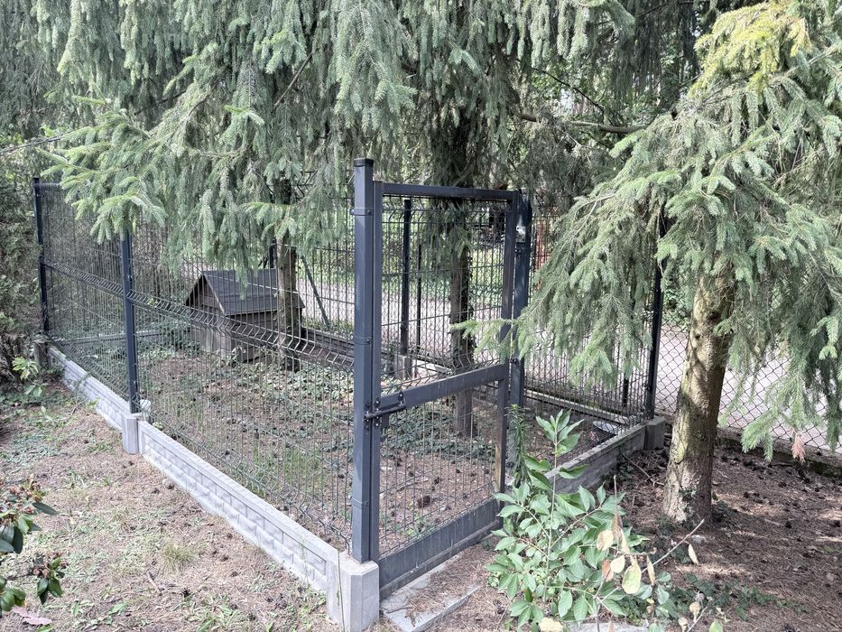 Kojec dla psa z budą