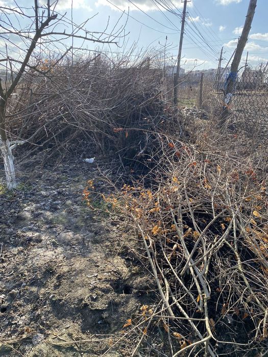 Вивіз сміття Романків