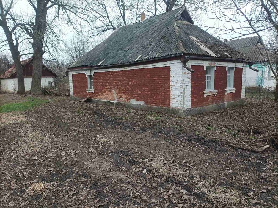 Продаж земельної ділянки з господарськими будівлями в с. Терешки