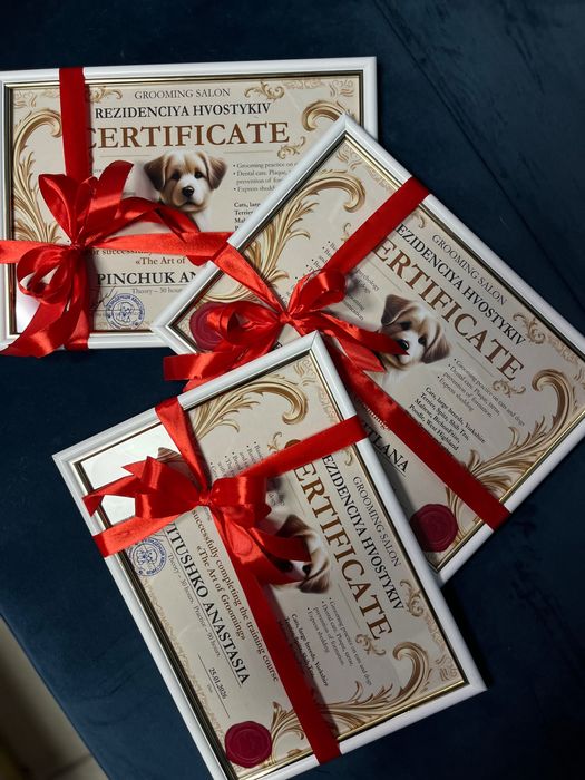 Курси.Навчання на Грумінг Майстра.Чернігів