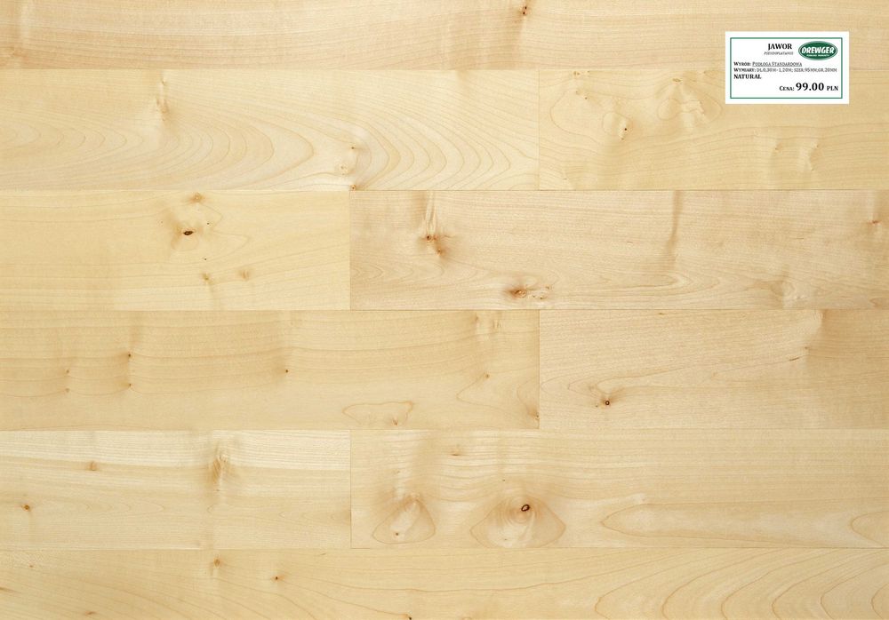 Deska podłogowa JAWOR  lita 2cm PRODUCENT