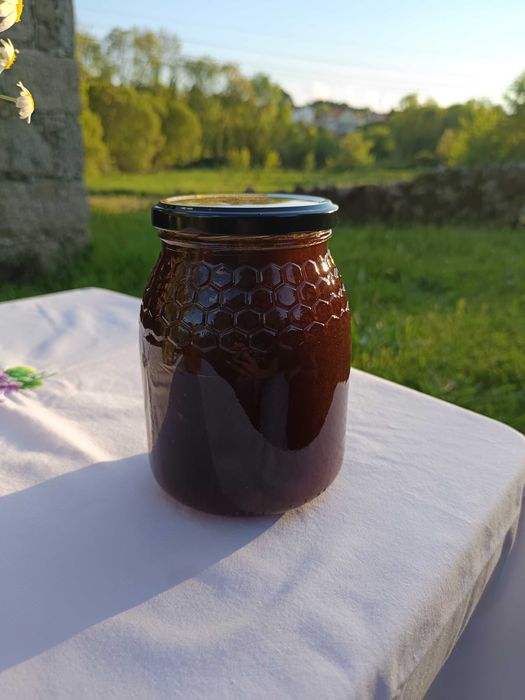 Mel de montanha multifloral, com predominância de castanheiro