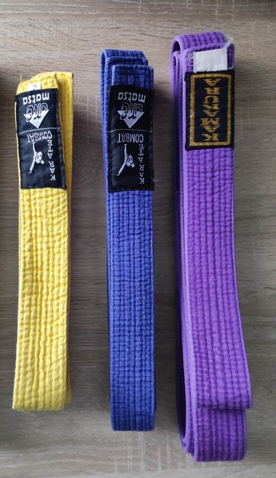 Пояс для єдиноборств