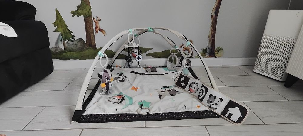 Mata edukacyjna - Tiny Love Magiczna Kraina