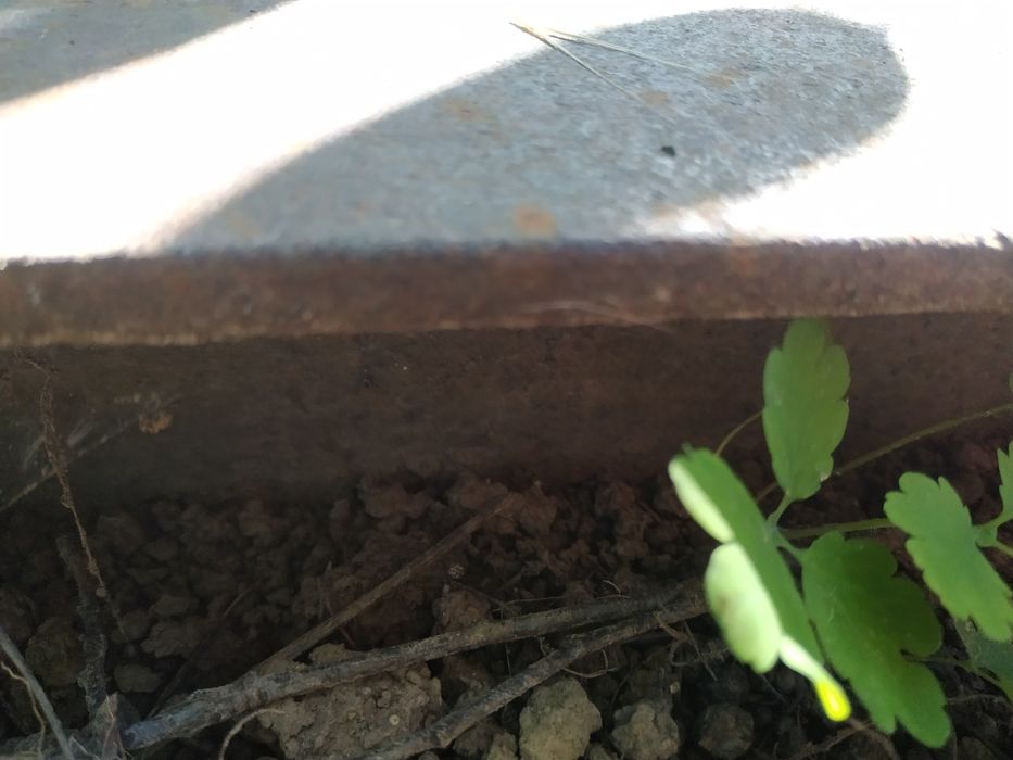 Рельса полукругом около 5 м , круг металл