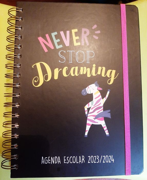Agenda - "Never stop dreaming"