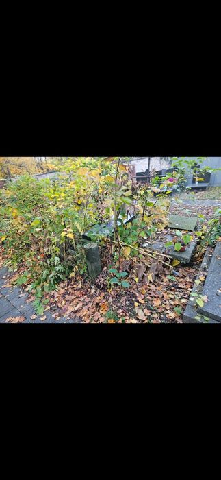 Czyszczenie,sprzątanie,impregnacja grobów,znicze,wiązanki.