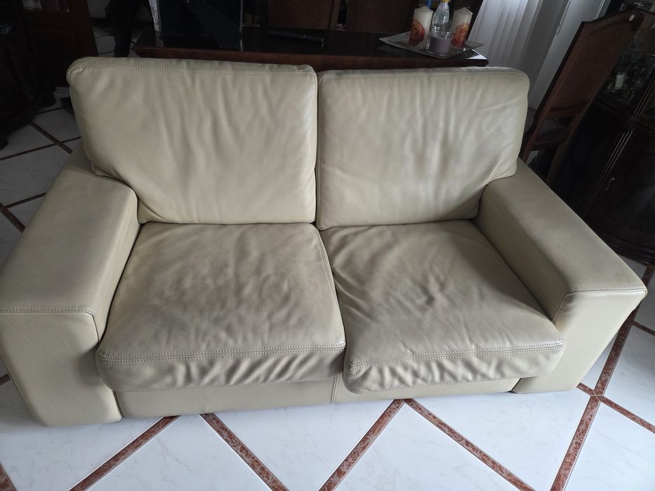 Dois Sofas de pele