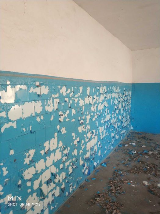 Нежитлова будівля, 1980 року побудови, загальною площею 250 кв. м.,