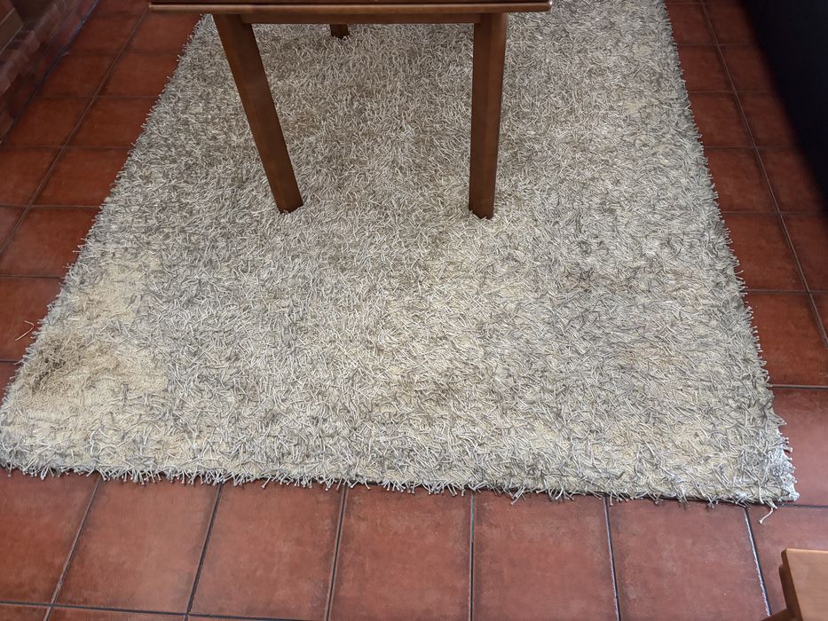 2 Carpetes / tapetes de sala