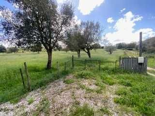 Aceitamos cavalos a pasto