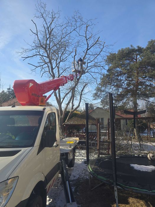 Wycinka drzew , Wycinki drzew, Przycinanie,Pielęgnacja Zieleni