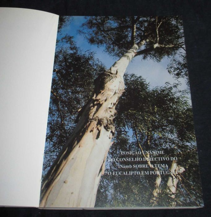 Livro O Eucalipto em Portugal José de Almeida Fernandes