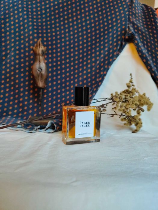 Francesca Bianchi «Tyger Tyger» Extrait