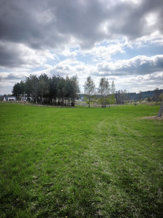 Działka budowlana Krynice