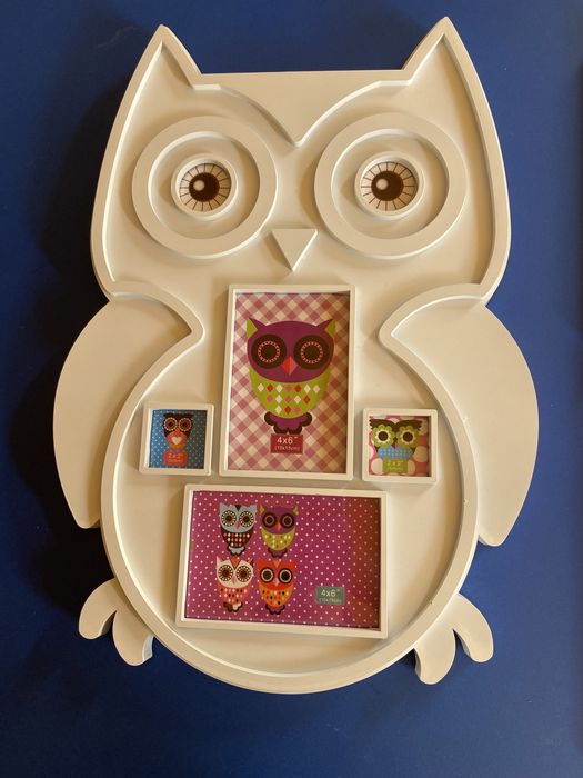 Quadros com mochos como novos64738557947650121