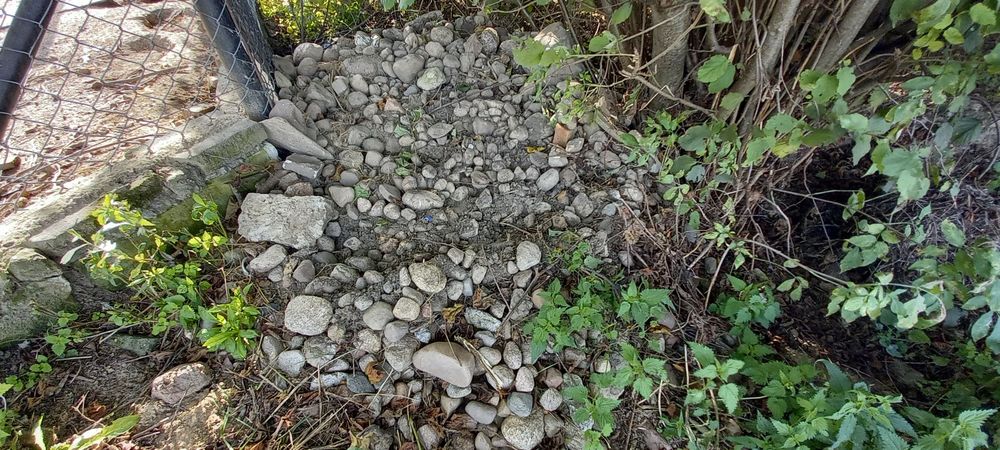 Kamień polny, kamyki kamienie