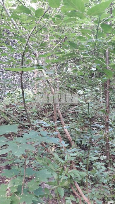 Продається земельна ділянка площею в Мархалівкі