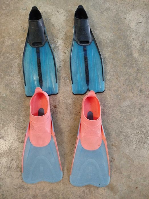 Batos de surfou bodyboard e barbatanas