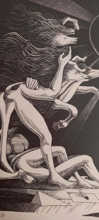 Serigrafia de Cruzeiro Seixas.   Dimensões exteriores: 64,5 cm por 50 cm. Dimensão da mancha: 49,5x39. Trabalho de 1980.