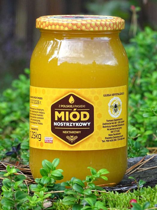 Miód Nostrzykowy