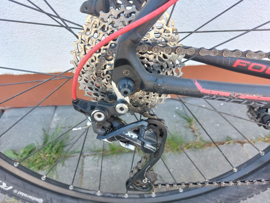 Focus 29R Black Forest