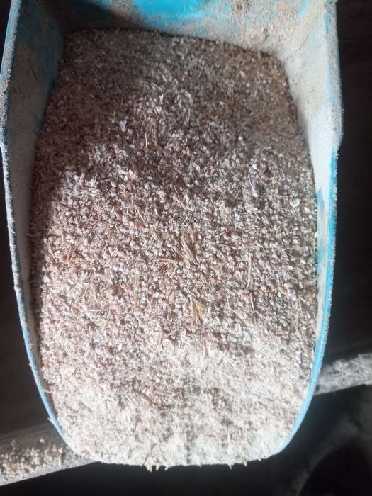 Śruta zbożowa z własnego zboża