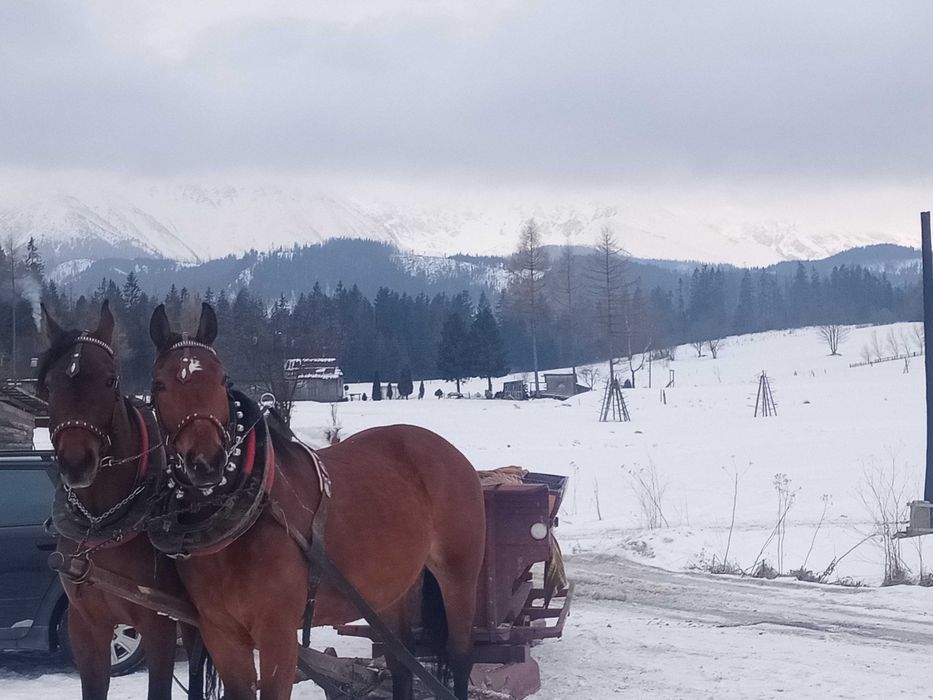 Domek 7 osobowy Małe Ciche widoki na gòry