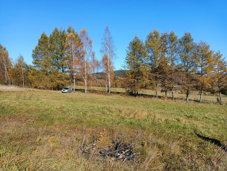 Działka budowlana 10a Bieszczady Bukowiec z widokiem