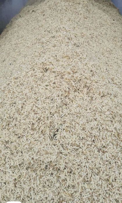 Wysłodki buraczane (Mokre)