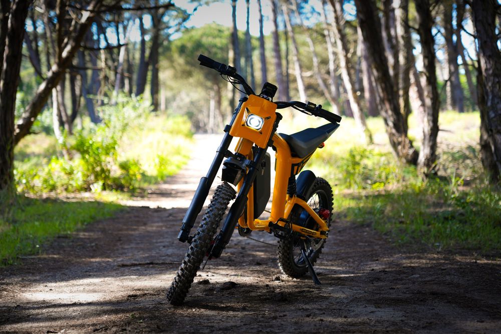 Bicicleta Elétrica Eonix FT07
