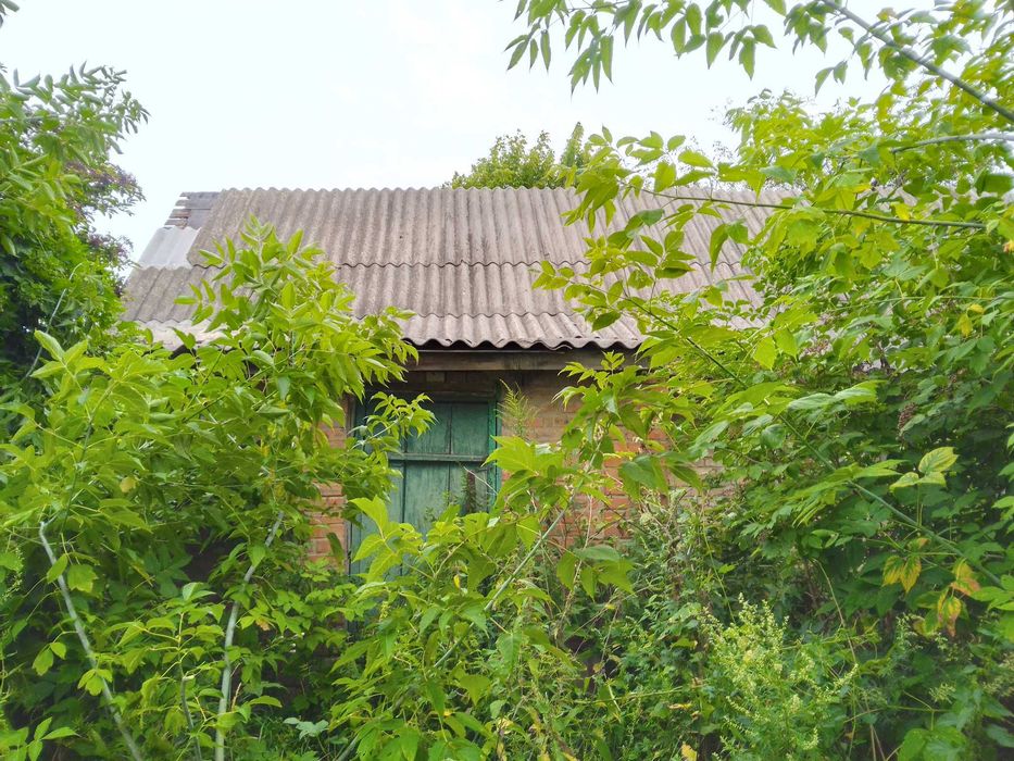 БЕЗ % продам земельну ділянку 25 соток з будинком. с. Липовий Скиток.
