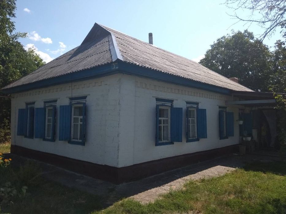 Будинок цегляний з присадибною ділянкою