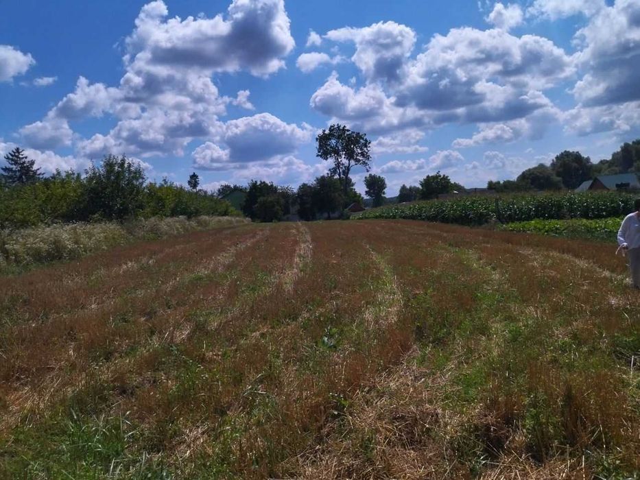 Земельна ділянка Ружичанка вул Центральна