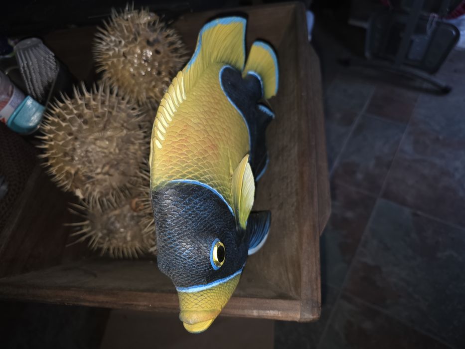 Peixe decorativo amarelo e azul pendurar na parede