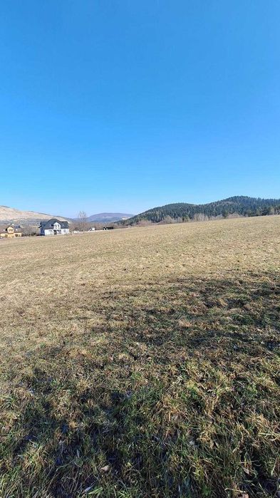 Działka budowlana 49ar, Trzetrzewina - gmina Chełmiec